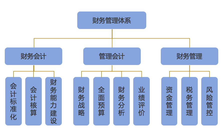 企業(yè)財(cái)務(wù)管理(財(cái)務(wù)信息化管理)「理臣咨詢」