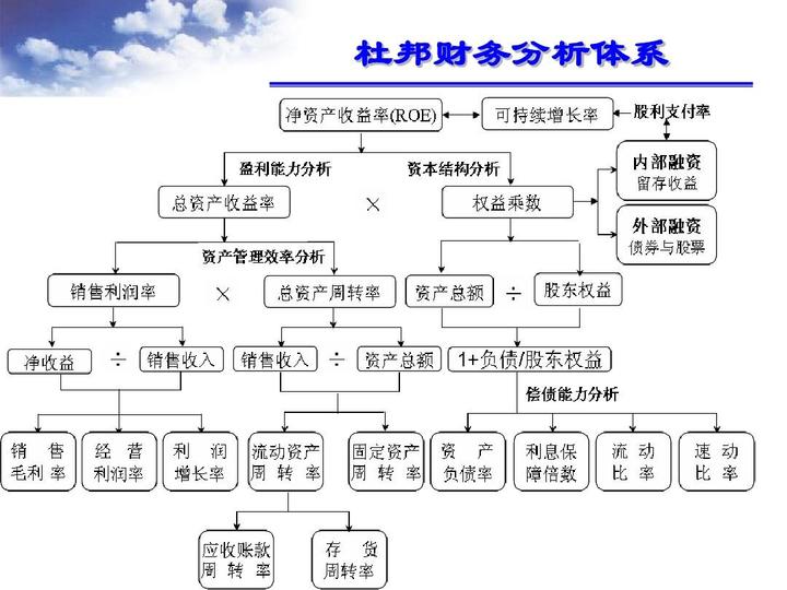 財務(wù)報表綜合分析(財務(wù)稽核報表)(圖4)