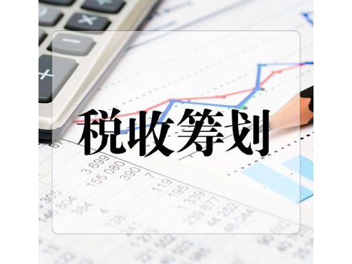 財(cái)稅籌劃(企業(yè)財(cái)稅實(shí)務(wù)與財(cái)稅基礎(chǔ)知識(shí))