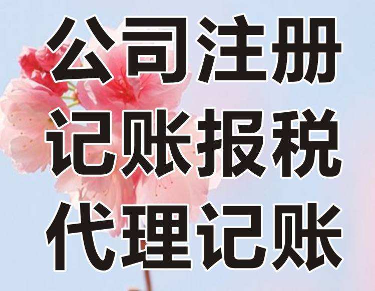 財務代理記賬(財務記賬代理公司成立)