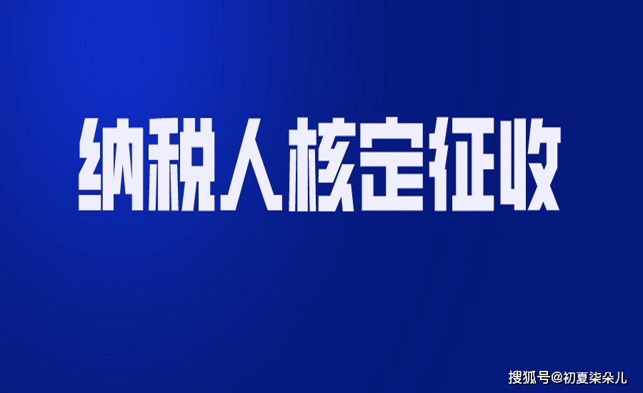 稅收籌劃節(jié)稅(節(jié)稅籌劃案例與實操指南)