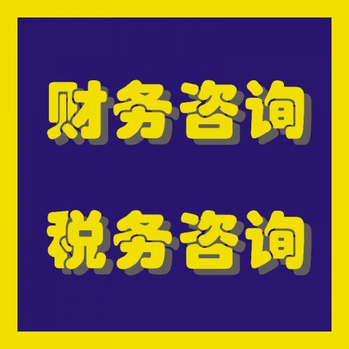 上海稅務籌劃服務(天津企業(yè)稅務代辦服務)