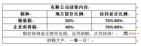 企業(yè)稅收籌劃(企業(yè)納稅實務與稅收籌劃全攻略)(圖5)