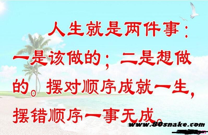 境外上市和境內(nèi)上市的區(qū)別(中華人民共和國(guó)境外非政府組織境內(nèi)活動(dòng)管理法)(圖3)