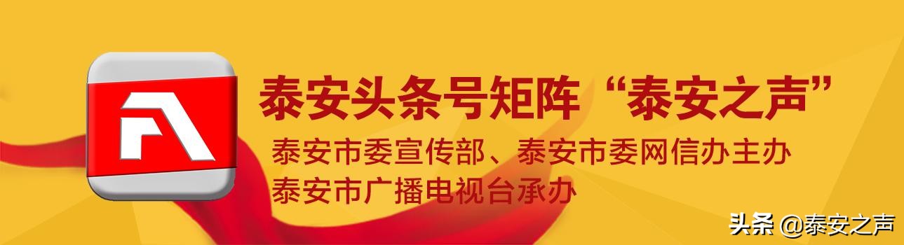 視頻|新泰市：百人稅務(wù)顧問(wèn)團(tuán)駐企解困保發(fā)展