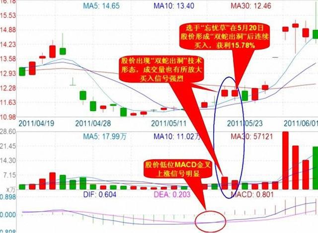 1萬(wàn)炒股一年最多掙多少