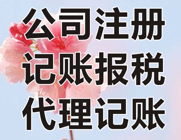 深圳財務(wù)代理公司(深圳財華財務(wù)代理)