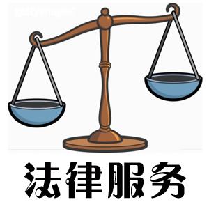 常年財(cái)務(wù)顧問?英文