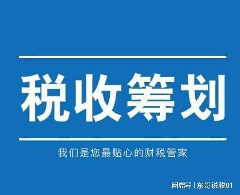 稅務(wù)籌劃(稅務(wù)行政復(fù)議是稅務(wù)行政訴訟的必經(jīng)程序)