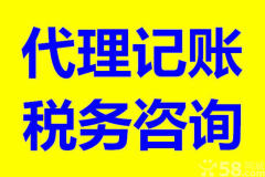 財(cái)務(wù)代理記賬