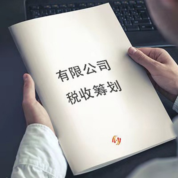 納稅籌劃方案設(shè)計(企業(yè)納稅籌劃方案設(shè)計： 理論與現(xiàn)實的沖突)